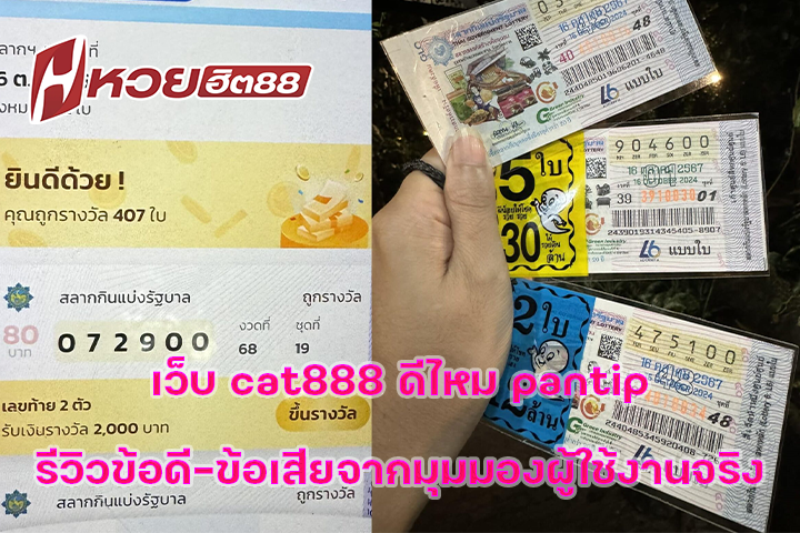เว็บ cat888 ดีไหม pantip รีวิวข้อดี-ข้อเสียจากมุมมองผู้ใช้งานจริง