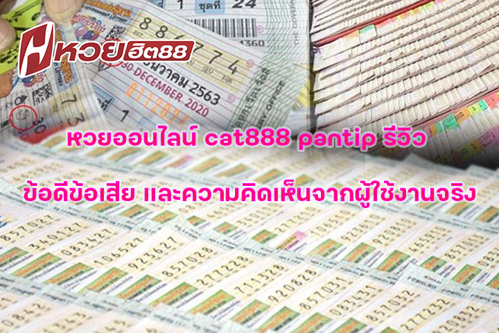 หวยออนไลน์ cat888 pantip รีวิว ข้อดีข้อเสีย และความคิดเห็นจากผู้ใช้งานจริง