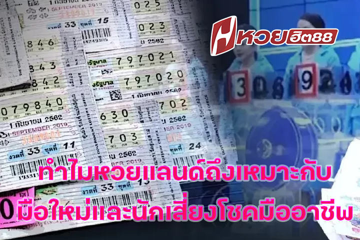 ทำไมหวยแลนด์ถึงเหมาะกับมือใหม่และนักเสี่ยงโชคมืออาชีพ